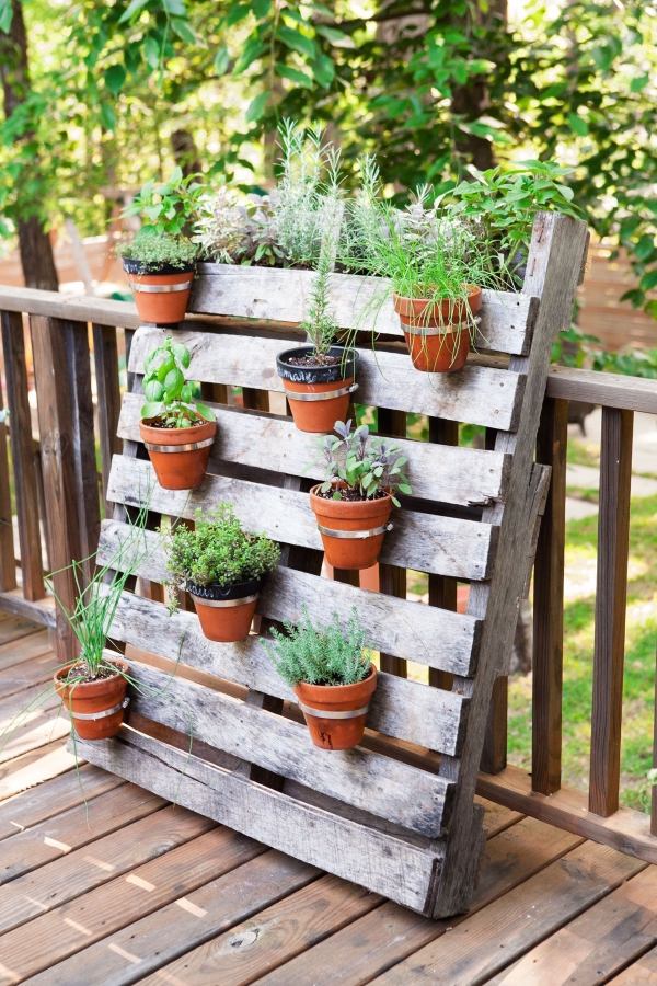 bricolage jardin avec des pots en terre cuite mur végétal