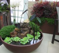 Mini-bassin aquatique à faire soi-même pour le jardin – tutoriel et idées (2)