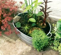Mini-bassin aquatique à faire soi-même pour le jardin – tutoriel et idées (4)