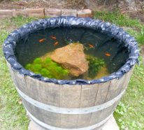 Mini-bassin aquatique à faire soi-même pour le jardin – tutoriel et idées (3)