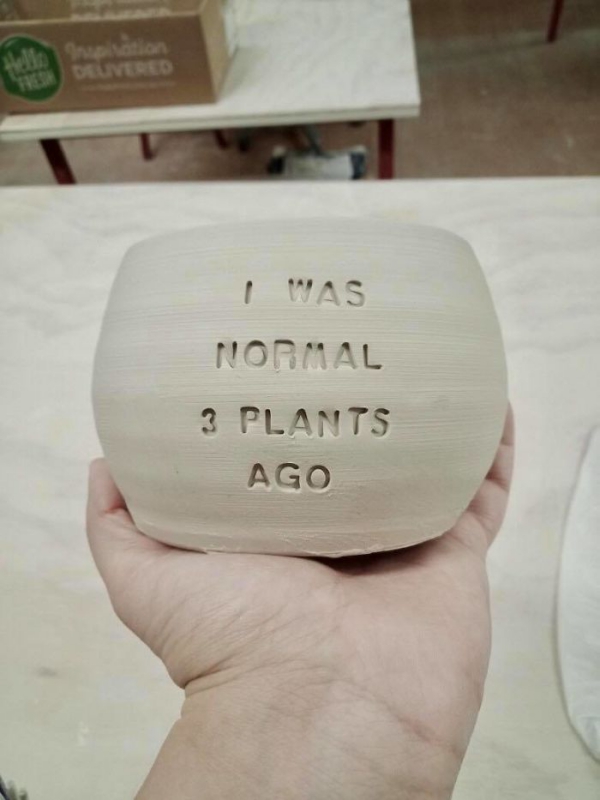 la céramique pour une plante verte 
