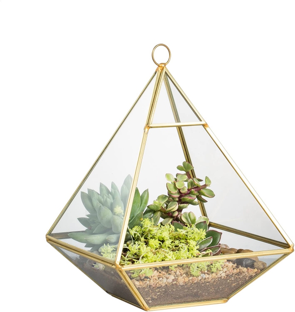 plantes succulentes pyramide à accrocher 
