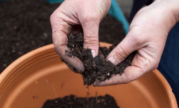 comment analyser vous-même la nature de votre terre de jardin sol riche en humus