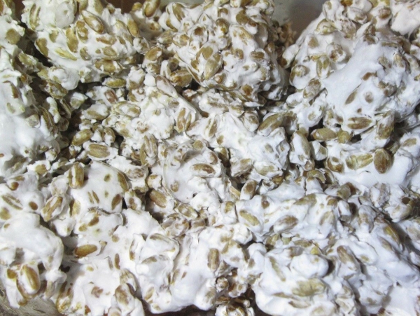 cultiver des champignons mycélium sur graines