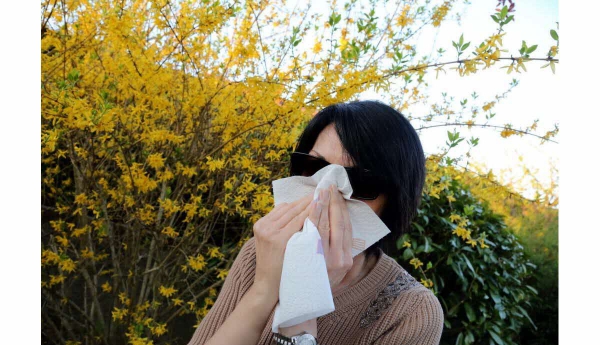 les bienfaits de la propolis début des allergies 
