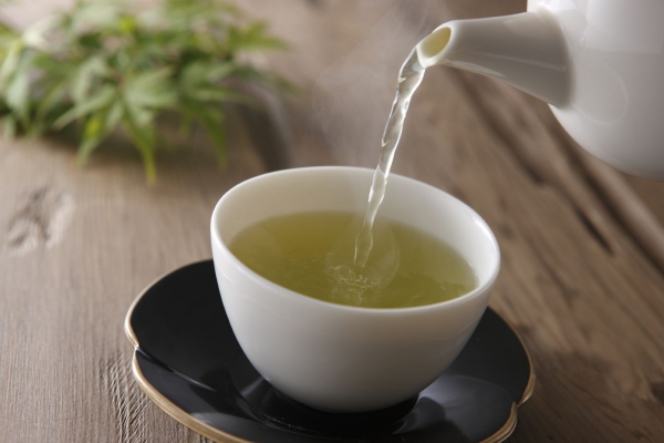 les bienfaits du thé vert catéchins à l’effet antioxydant 