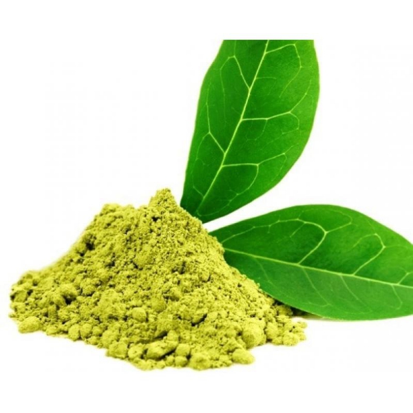 les bienfaits du thé vert thé en poudre 