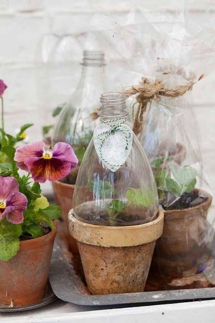 recyclage bouteille plastique protéger les fleurs du froid