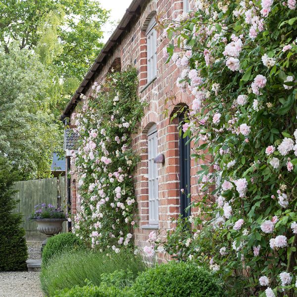 Comment habiller un mur extérieur abîmé pour embellir la ...