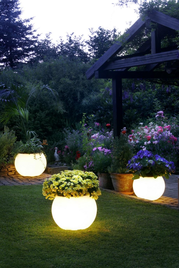 fleurs et plantes jardinières illuminées 