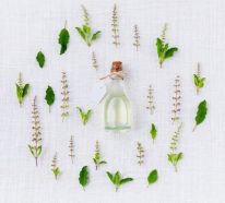 5 herbes médicinales contre le vieillissement de la peau (4)