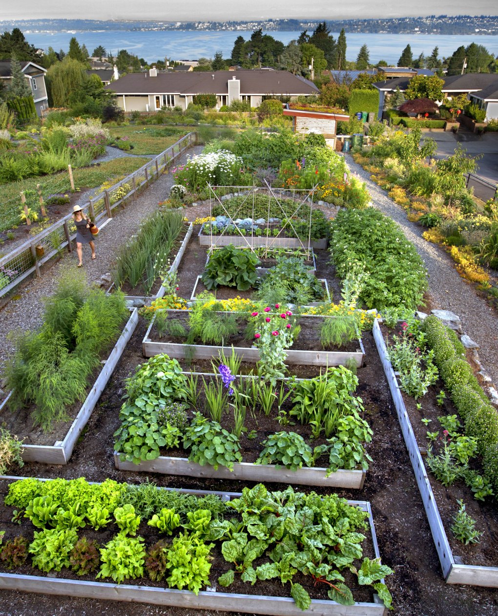 Comment créer un jardin écologique : 5 conseils pour les jardiniers