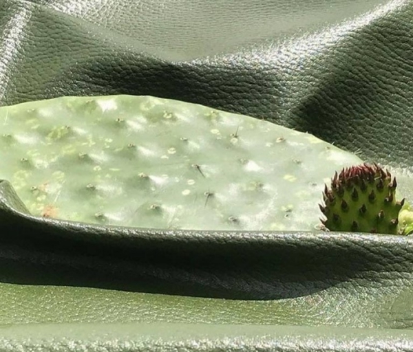 cuir artificiel de cactus une feuille mûre 