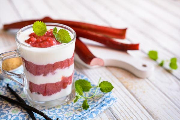 dessert yaourt à la rhubarbe planter de la rhubarbe