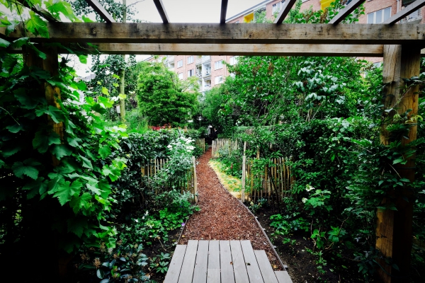 jardin écologique développer l’horticulture