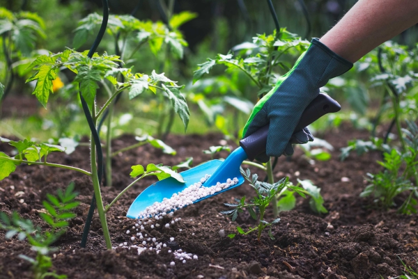 jardin écologique ne pas utiliser de pesticides