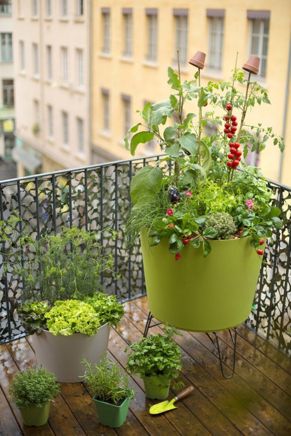 jardin écologique plantes en conteneur au balcon