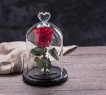 La rose éternelle : un cadeau original à beauté impérissable (3)