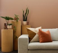 Adopter la couleur de peinture terracotta pour réchauffer ses murs en automne (4)