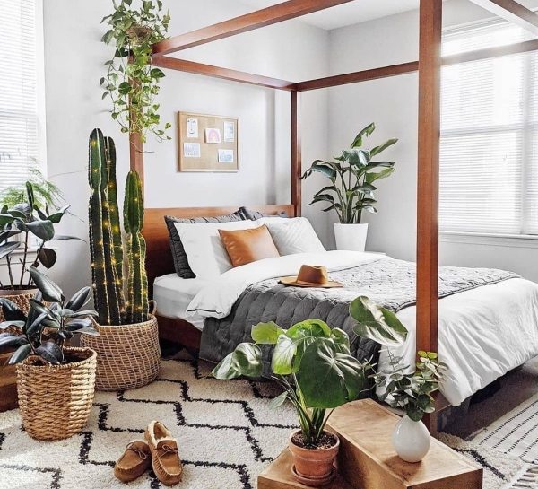 design-d’intérieur-plantes-vivantes-5 idée de décoration intérieur style bibliophilique avec plusieurs plantes vertes en pot