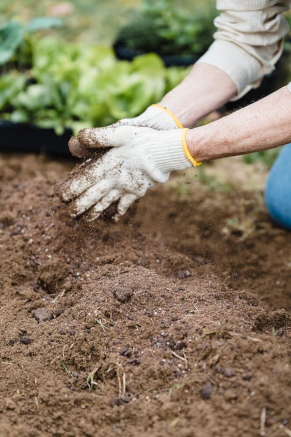 comment bien se proteger les main lors du jardinage