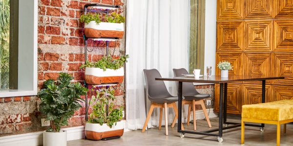 idee de jardin vertical connecte avec appareils intelligents